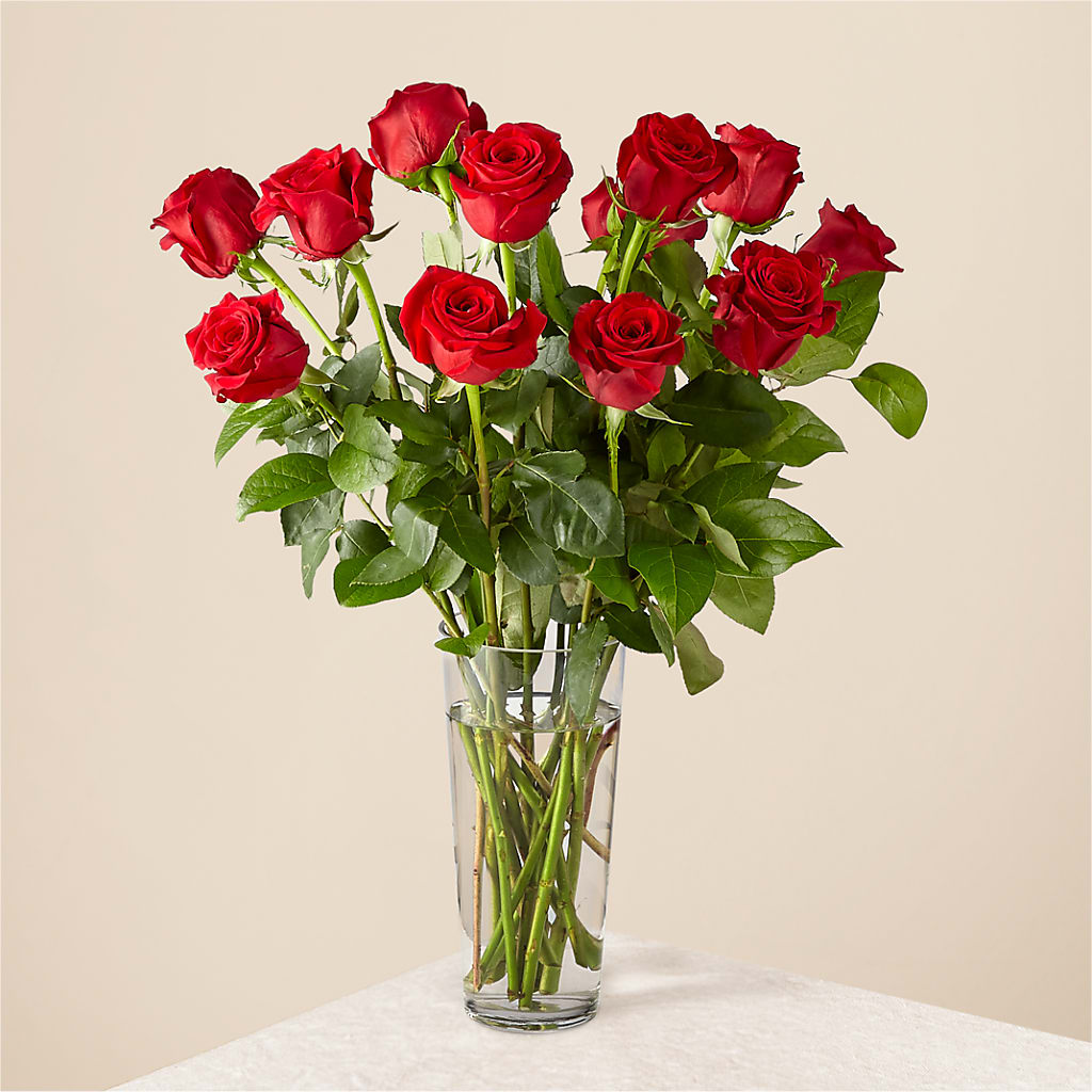 Long Stem Red Rose Bouquet – CASSIDY'S FLOWERS, Newmarket ON