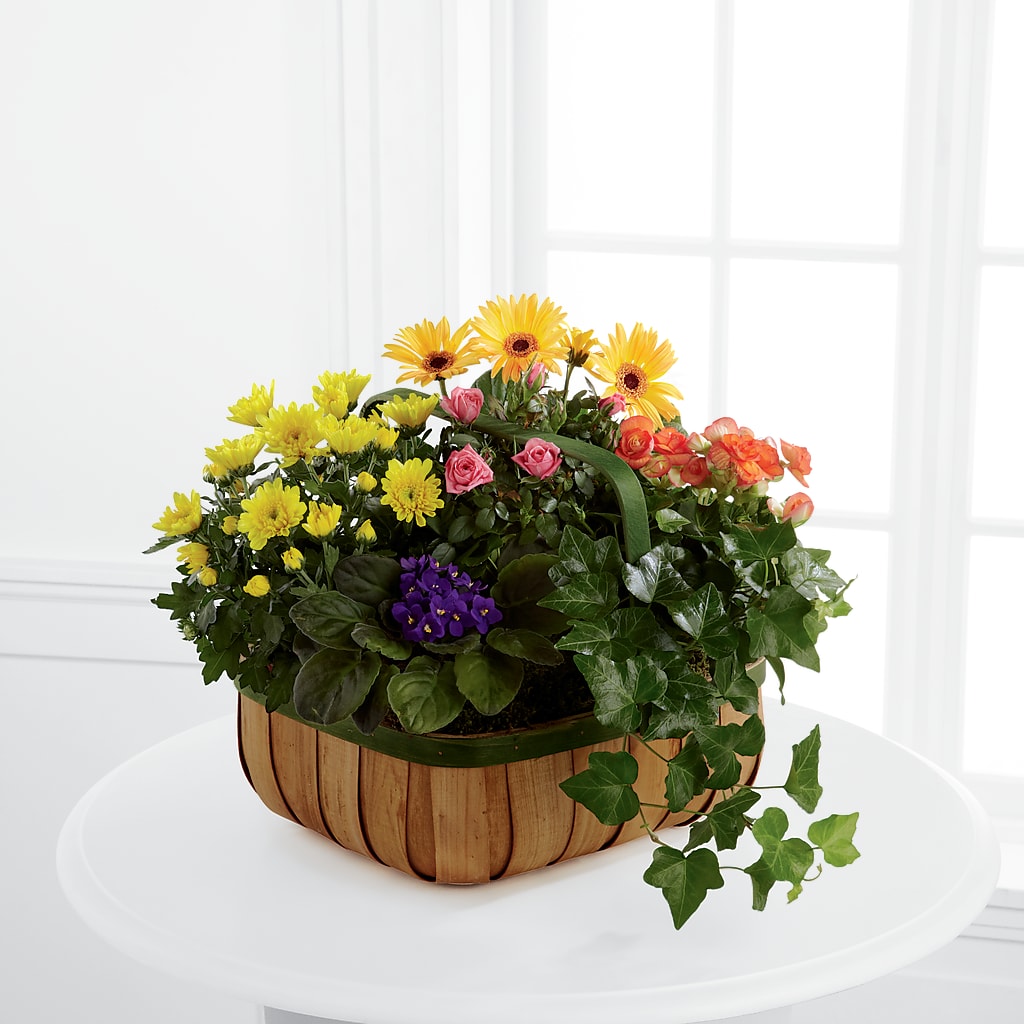 Gentle Blossoms Basket – CASSIDY'S FLOWERS, Newmarket ON