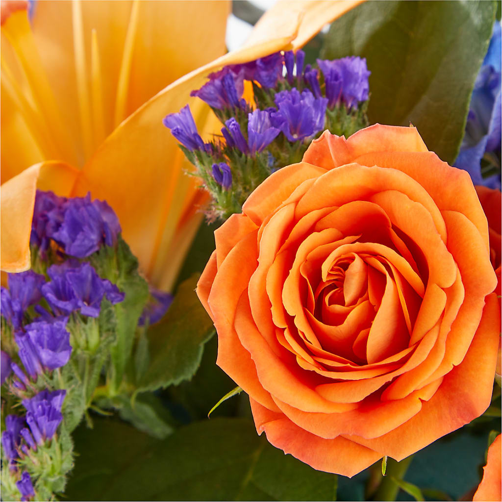 Radiant Citrus Box Bouquet – CASSIDY'S FLOWERS, Newmarket ON