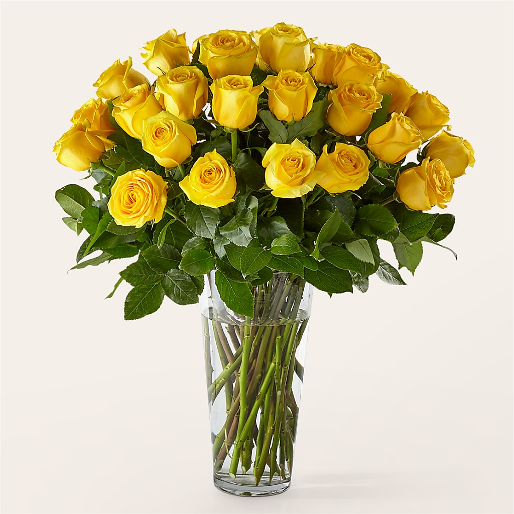 Long Stem Yellow Rose Bouquet – CASSIDY'S FLOWERS, Newmarket ON