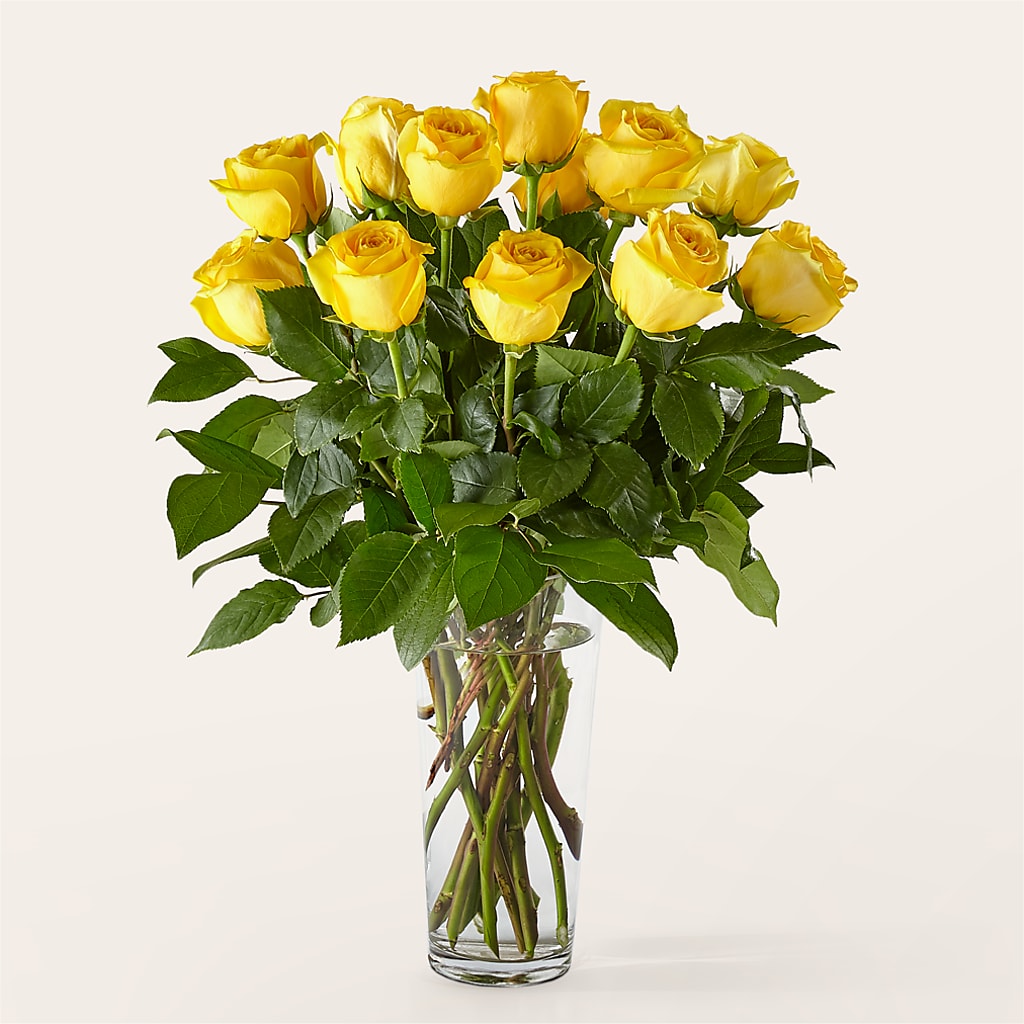Long Stem Yellow Rose Bouquet – CASSIDY'S FLOWERS, Newmarket ON
