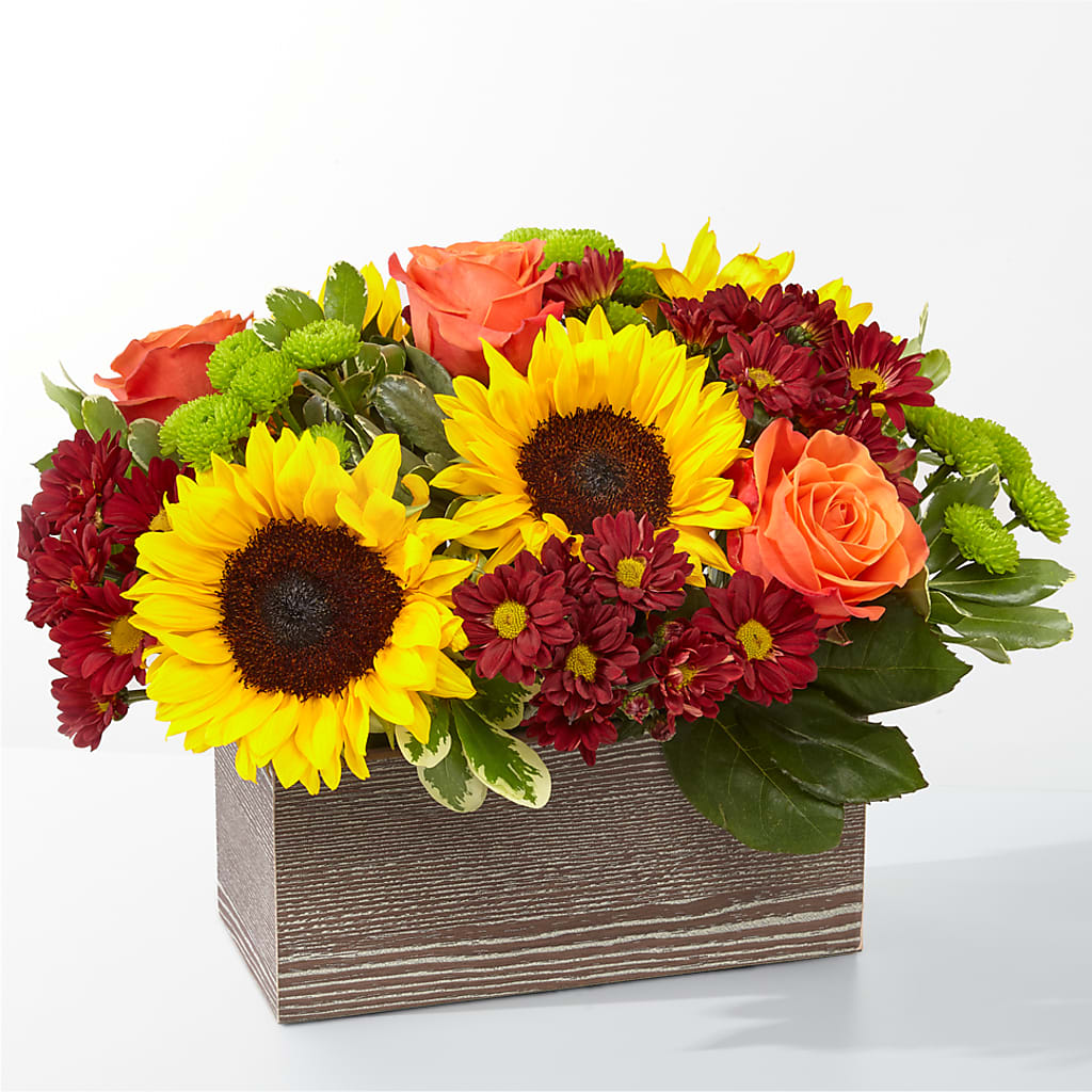 Happy Harvest Garden – CASSIDY'S FLOWERS, Newmarket ON