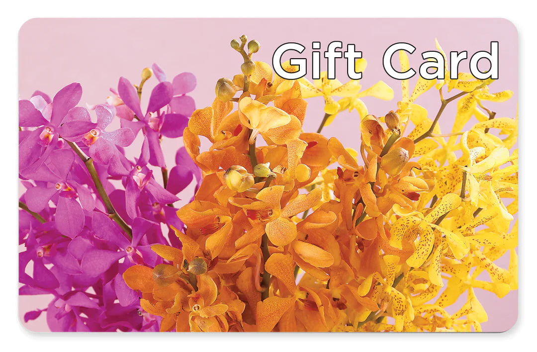 Gift Card – CASSIDY'S FLOWERS, Newmarket ON