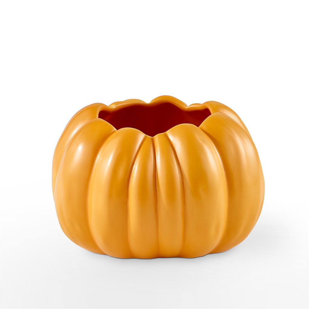 Pick of the Patch Pumpkin Bouquet – CASSIDY'S FLOWERS, Newmarket ON