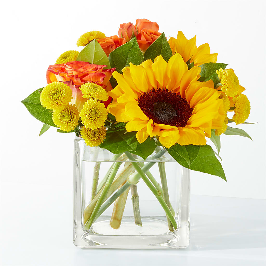 Picnic in the Park Bouquet – CASSIDY'S FLOWERS, Newmarket ON