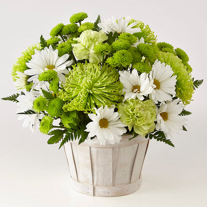 Lucky Charm Basket (Standard) – CASSIDY'S FLOWERS, Newmarket ON