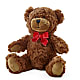 Adorable Plush Bear – CASSIDY'S FLOWERS, Newmarket ON