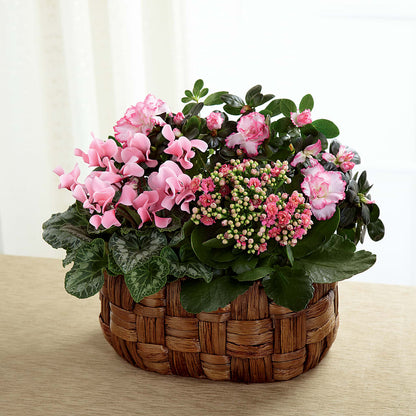 Pink Assortment – CASSIDY'S FLOWERS, Newmarket ON