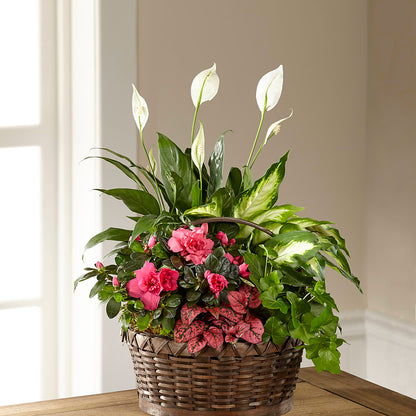 Dream in Pink Dishgarden – CASSIDY'S FLOWERS, Newmarket ON