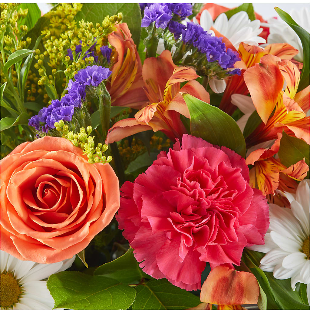 Oopsie Daisy Box Bouquet – CASSIDY'S FLOWERS, Newmarket ON