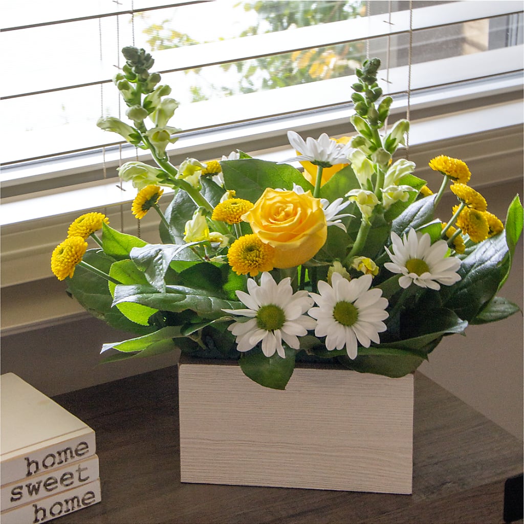 Sun Salutation Box Bouquet – CASSIDY'S FLOWERS, Newmarket ON
