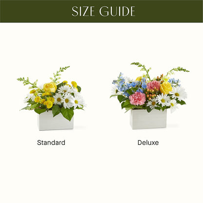 Sun Salutation Box Bouquet – CASSIDY'S FLOWERS, Newmarket ON