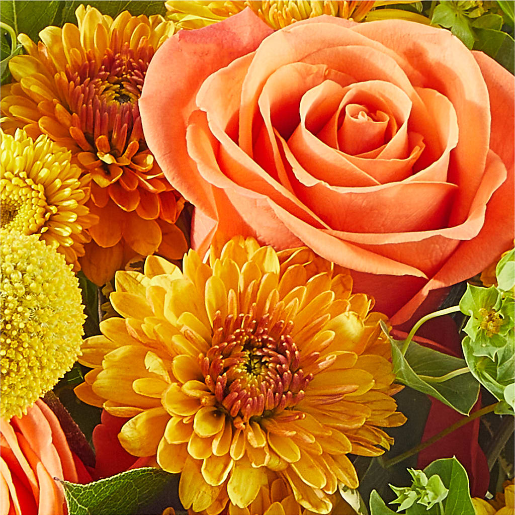 Gourdgeous Pumpkin – CASSIDY'S FLOWERS, Newmarket ON