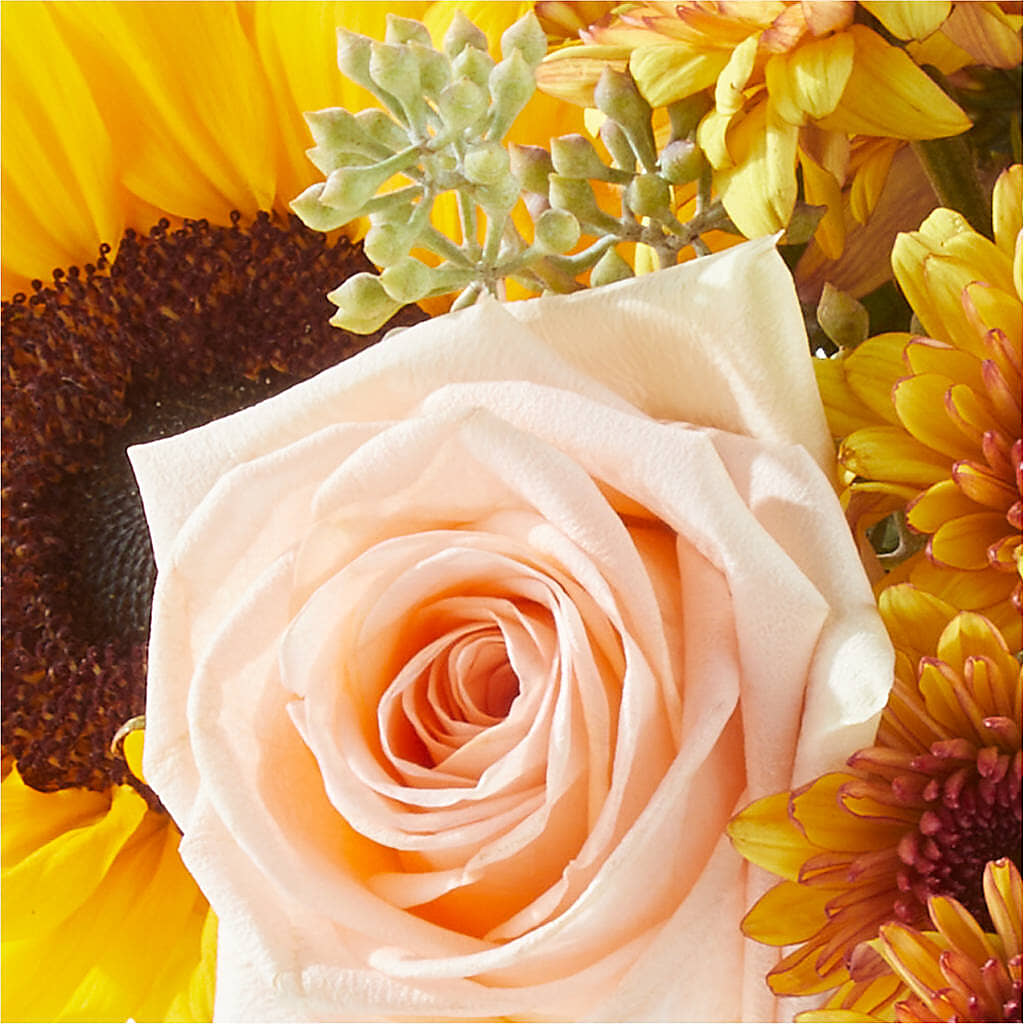 Pumpkin to Talk About Bouquet – CASSIDY'S FLOWERS, Newmarket ON