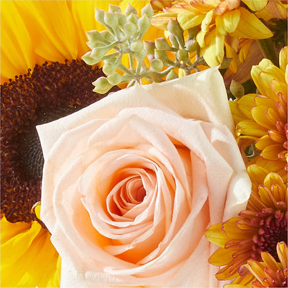 Pumpkin to Talk About Bouquet – CASSIDY'S FLOWERS, Newmarket ON