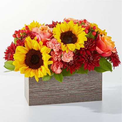 Aroma de sidra fresca