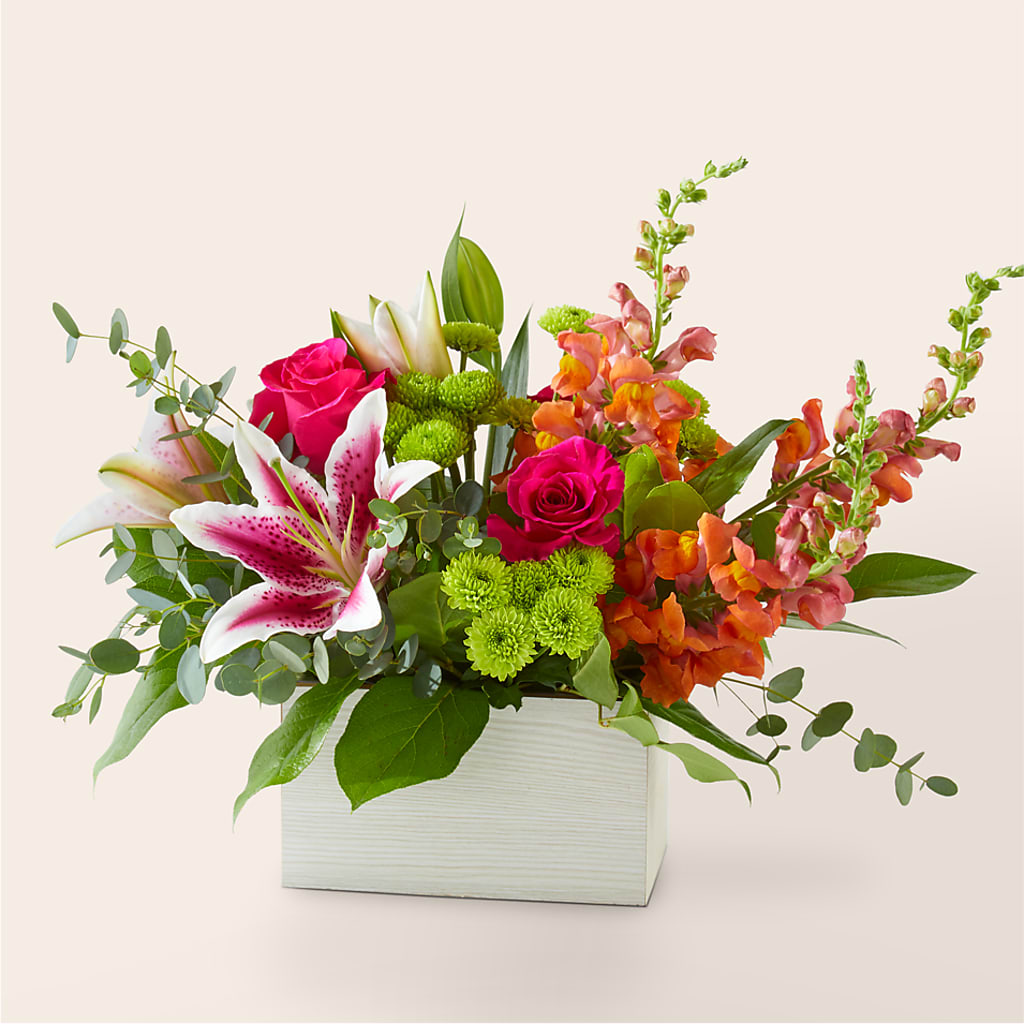 Ramo Espíritu Salvaje