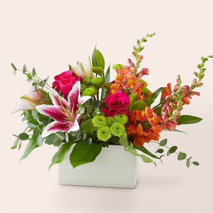 Ramo Espíritu Salvaje