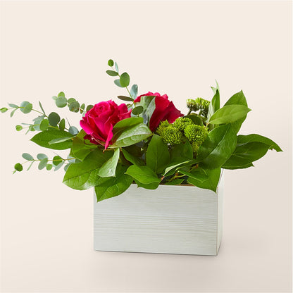 Ramo Espíritu Salvaje