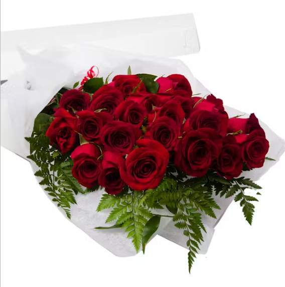 PREMIUM LONG STEM ROSES