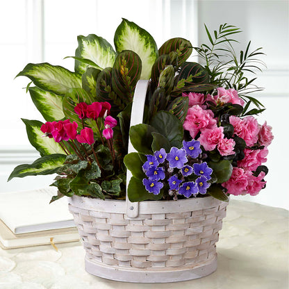 Peaceful Garden Planter – CASSIDY'S FLOWERS, Newmarket ON