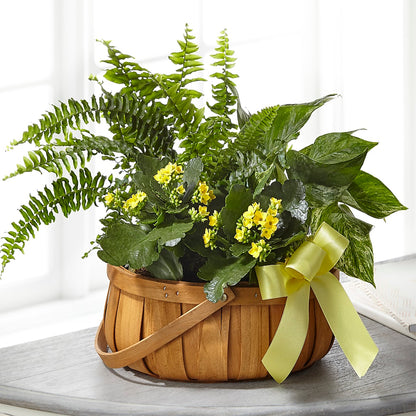 Always Dear Dishgarden – CASSIDY'S FLOWERS, Newmarket ON