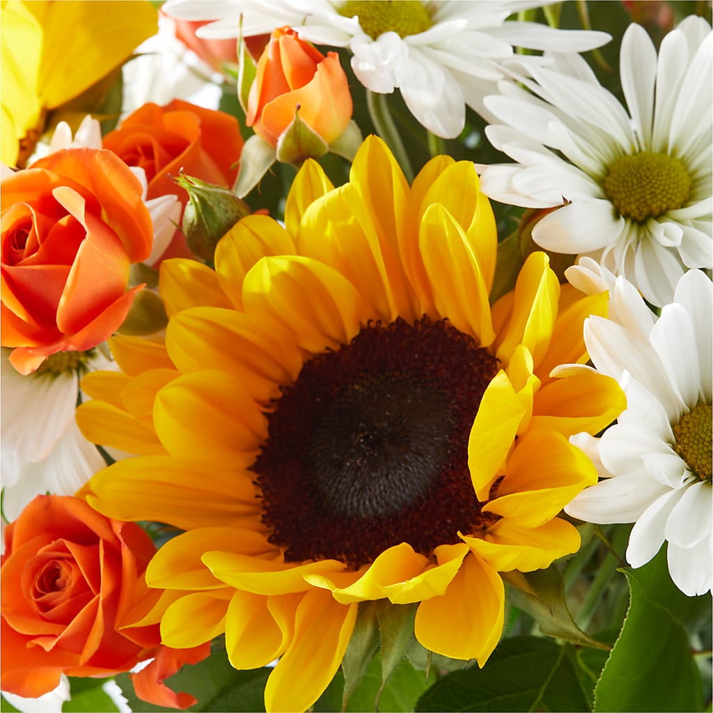 Sun-drenched Blooms Bouquet – CASSIDY'S FLOWERS, Newmarket ON