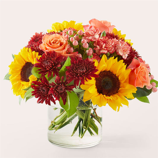 Ramo de puesta de sol de septiembre