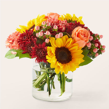 Ramo de puesta de sol de septiembre