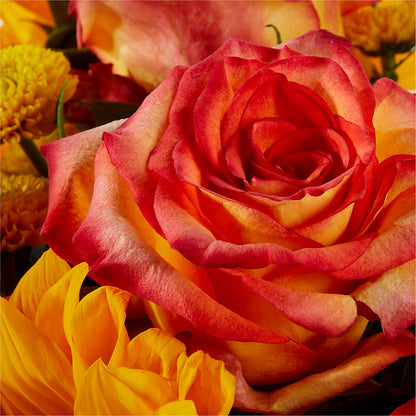 Picnic in the Park Bouquet – CASSIDY'S FLOWERS, Newmarket ON