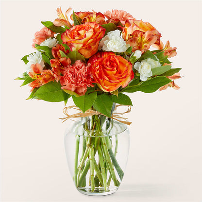 Ramo de albaricoque brillante