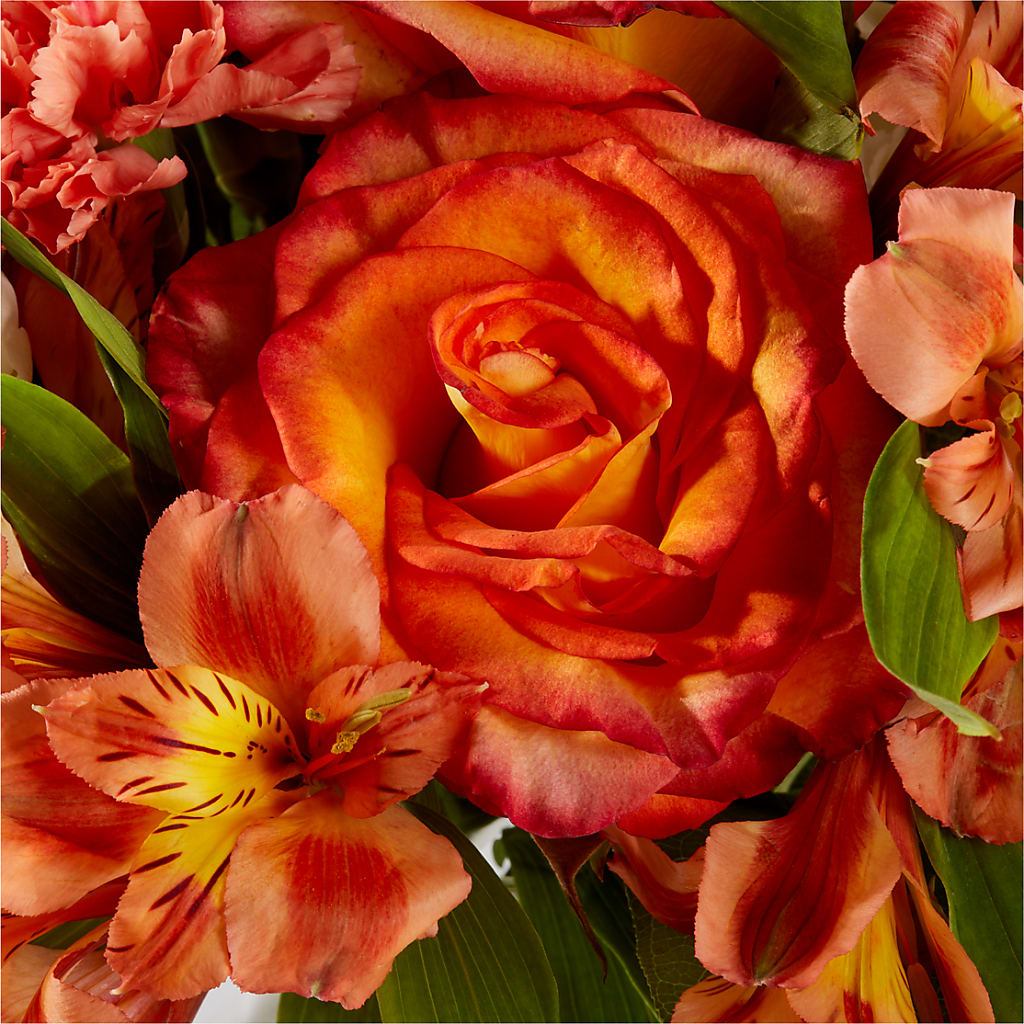 Apricot Glow Bouquet – CASSIDY'S FLOWERS, Newmarket ON