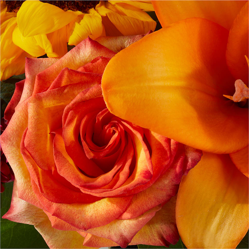 Grateful Centerpiece – CASSIDY'S FLOWERS, Newmarket ON