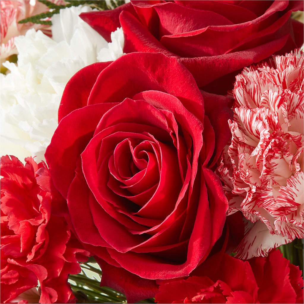 Candy Cane Lane Bouquet – CASSIDY'S FLOWERS, Newmarket ON