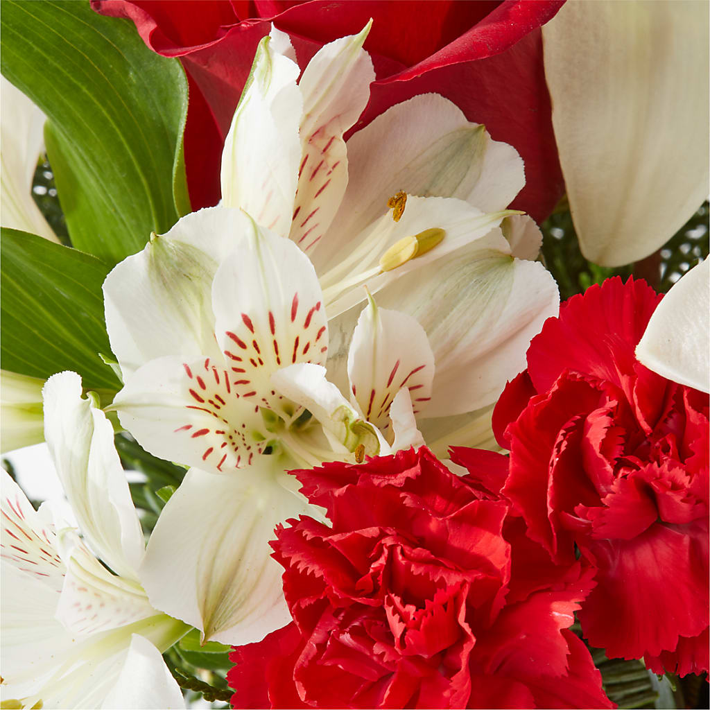 Holiday Season Bouquet – CASSIDY'S FLOWERS, Newmarket ON