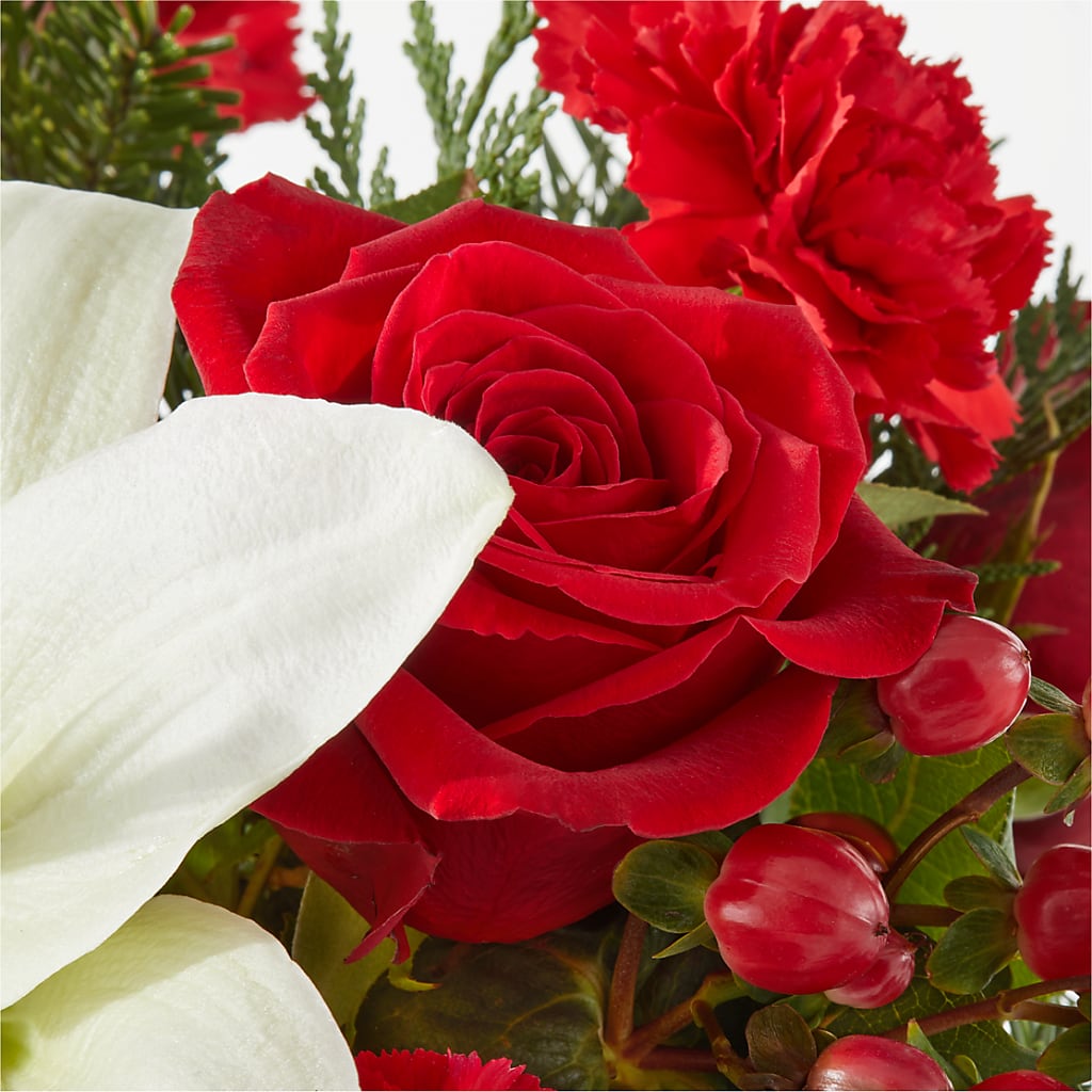Oh So Jolly Bouquet – CASSIDY'S FLOWERS, Newmarket ON