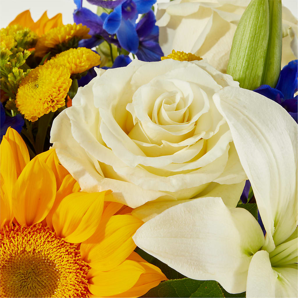 Stargazing Bouquet – CASSIDY'S FLOWERS, Newmarket ON