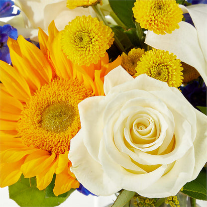 Stargazing Bouquet – CASSIDY'S FLOWERS, Newmarket ON