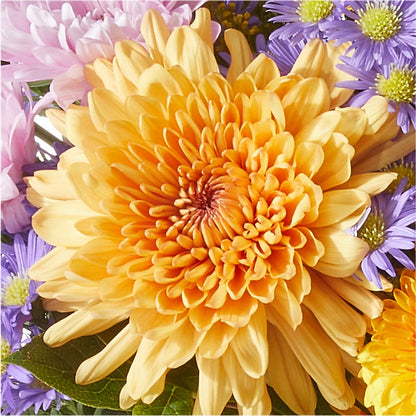 Countryside Bouquet – CASSIDY'S FLOWERS, Newmarket ON