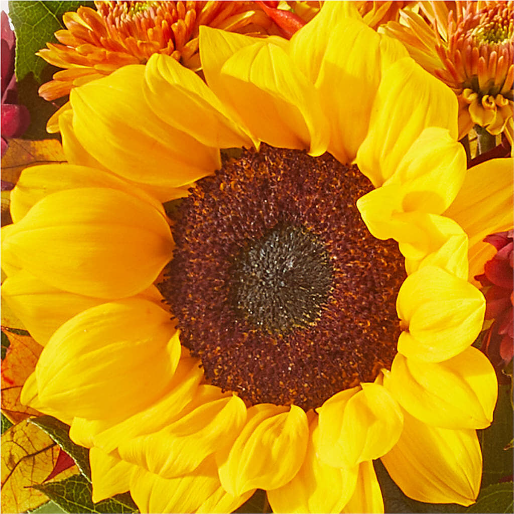 Sunny Side Bouquet – CASSIDY'S FLOWERS, Newmarket ON