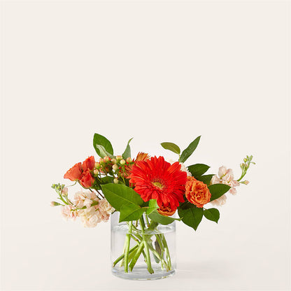 Bouquet Paloma Please