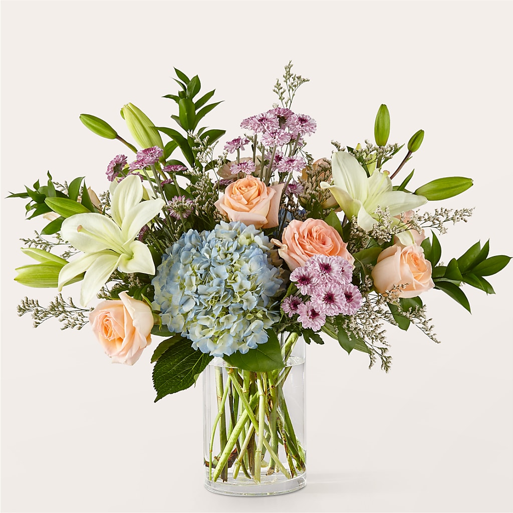 Ramo Mañanas Lentas