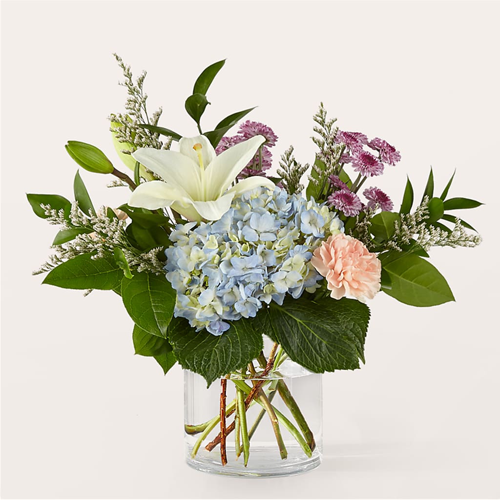 Ramo Mañanas Lentas