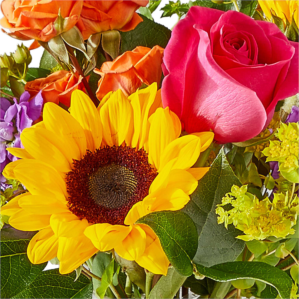 Vibrant Greetings Bouquet – CASSIDY'S FLOWERS, Newmarket ON
