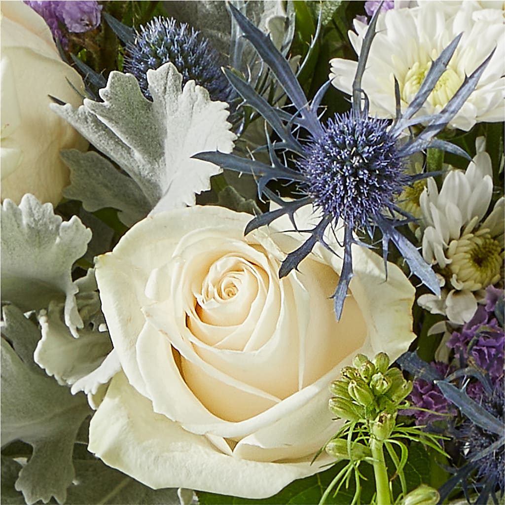 Shooting Star Bouquet – CASSIDY'S FLOWERS, Newmarket ON