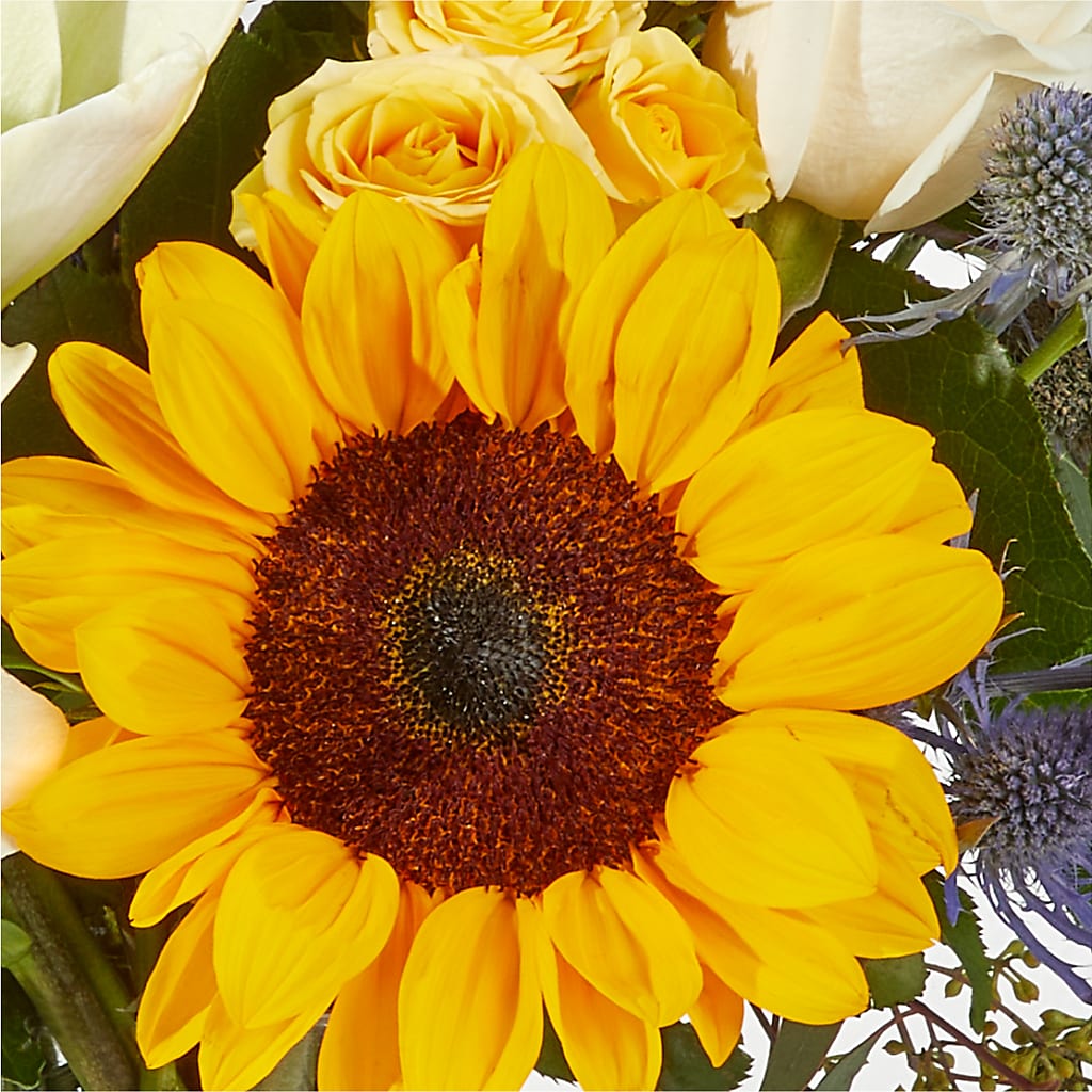 Wonderfully Sunny Bouquet – CASSIDY'S FLOWERS, Newmarket ON