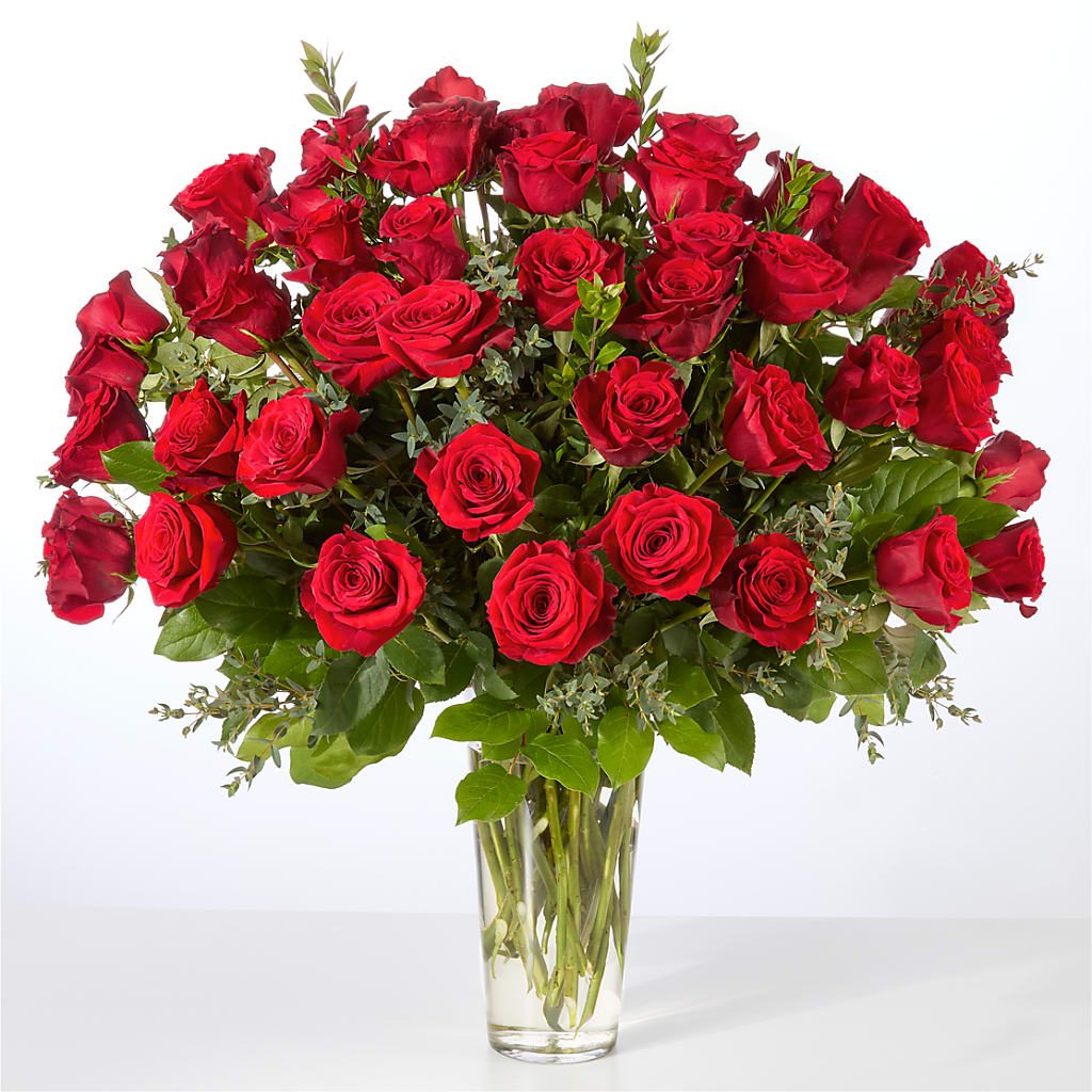Forever Yours Fifty Stem Red Rose Bouquet – CASSIDY'S FLOWERS, Newmarket ON
