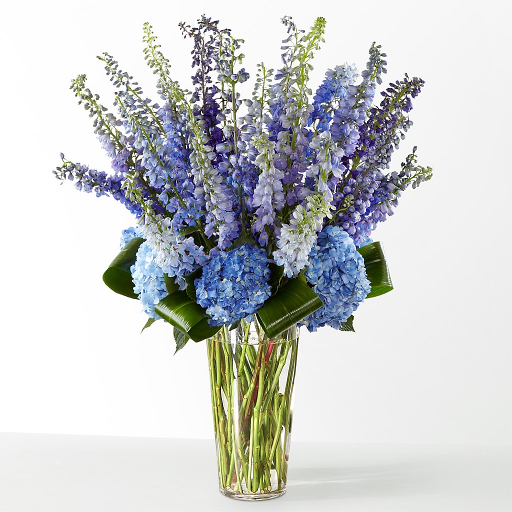 The Editorial – CASSIDY'S FLOWERS, Newmarket ON
