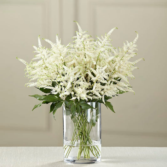 Bouquet d'Astilbe Blanc