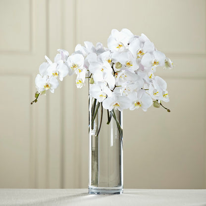 White Phalaenopsis Bouquet – CASSIDY'S FLOWERS, Newmarket ON